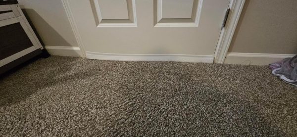 81h5JcuFW-L._SY800.jpg GroTheory 2 Pack Under Door Draft Stopper