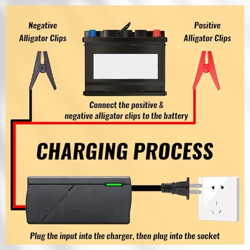 14.6V 10A LiFePO4 Battery Charger – Fast Charging, High Efficiency, LED Indicator & Overheat Protection for 12V Lithium Iron Phosphate Batteries-Free Shipping to Jamaica/No Import Charges!!!